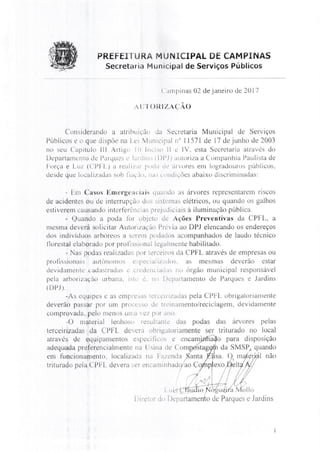 CPFL responde podas Cambuí em 2017