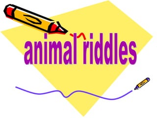 animal riddles 
