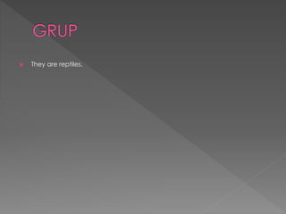  They are reptiles.
 