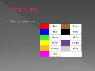  They are green or brown.
 