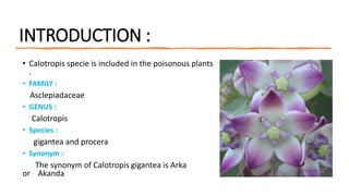 Callotropis plant pharmacognosy pptttt | PPTX