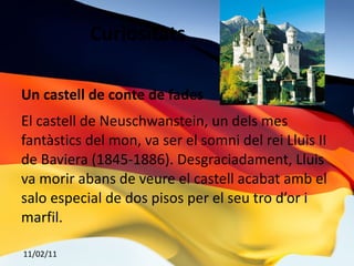 Relleu Hi trobem tres rius molt importants el Rin, el Danubi i l’Alba. També planes, la Selva Negre, la gran plana del nord i una petita depressió, la del Rin 