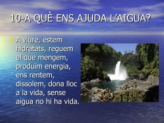 10-A QUÈ ENS AJUDA L’AIGUA? A viure, estem hidratats, reguem el que mengem, produïm energia, ens rentem, dissolem, dona lloc a la vida, sense aigua no hi ha vida. 