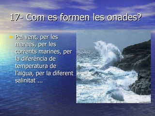 17- Com es formen les onades? Pel vent, per les marees, per les corrents marines, per la diferència de temperatura de l’aigua, per la diferent salinitat ... 