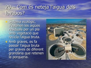20 – Com és neteja l’aigua dels lavabos? Sistema ecològic, s’estenen les aigües residuals per un pla amb vegetació que recicla l’aigua bruta.  Amb graves, es fa passar l’aigua bruta per graves de diferent grandària que retenen la porqueria. 