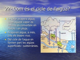 22- Com és el cicle de l’aigua? La calor evapora aigua, quan aquest vapor es refreda es converteix en núvols i en pluja. Evaporen aigua, a més, tots els éssers vius.  Del cicle de l’aigua en formen part les aigües superficials i subterrànies.  