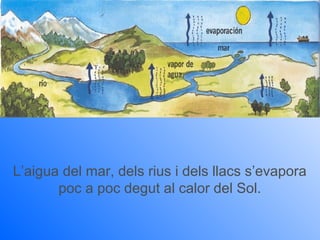 L’aigua del mar, dels rius i dels llacs s’evapora
       poc a poc degut al calor del Sol.
 