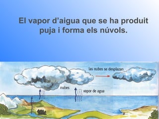 El vapor d’aigua que se ha produit
     puja i forma els núvols.
 