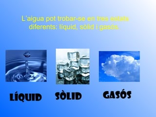 L’aigua pot trobar-se en tres estats
    diferents: líquid, sòlid i gasós.




LÍQUID       SÒLID           GASÓS
 