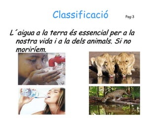 Classificació           Pag:3



L´aigua a la terra és essencial per a la
  nostra vida i a la dels animals. Si no
  moriríem.
 