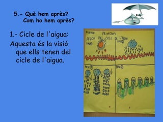 5.- Què hem après?
Com ho hem après?
1.- Cicle de l'aigua:
Aquesta és la visió
que ells tenen del
cicle de l'aigua.
 