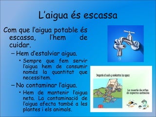 L’aigua és escassa
Com que l’aigua potable és
escassa, l’hem de
cuidar.
– Hem d’estalviar aigua.
• Sempre que fem servir
l’aigua hem de consumir
només la quantitat que
necessitem.
– No contaminar l’aigua.
• Hem de mantenir l’aigua
neta. La contaminació de
l’aigua afecta també a les
plantes i els animals.
 