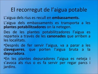 El recorregut de l’aigua potable
L’aigua dels rius es recull en embassaments.
L’aigua dels embassaments es transporta a les
plantes potabilitzadores on la netegen.
Des de les plantes potabilitzadores l’aigua es
reparteix a través de les canonades que arriben a
les localitats.
•Després de fer servir l’aigua, va a parar a les
clavegueres, que porten l’aigua bruta a la
depuradora.
•En les plantes depuradores l’aigua es neteja i
s’avoca als rius o es fa servir per regar parcs i
jardins.
 