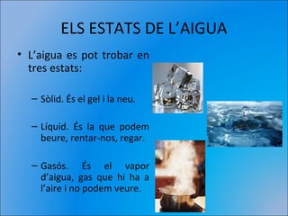 ELS ESTATS DE L’AIGUA
• L’aigua es pot trobar en
tres estats:
– Sòlid. És el gel i la neu.
– Líquid. És la que podem
beure, rentar-nos, regar.
– Gasós. És el vapor
d’aigua, gas que hi ha a
l’aire i no podem veure.
 