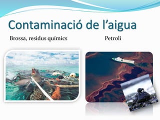 Contaminació de l’aigua
Brossa, residus químics Petroli
 