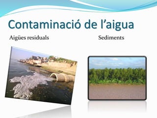 Contaminació de l’aigua
Aigües residuals Sediments
 