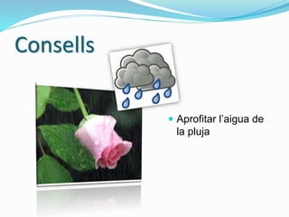 Consells
 Aprofitar l’aigua de
la pluja
 