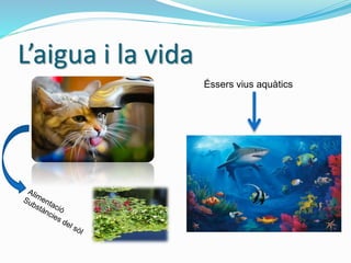 L’aigua i la vida
Éssers vius aquàtics
 