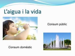 L’aigua i la vida
Consum domèstic
Consum públic
 
