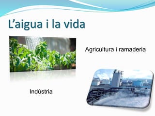 L’aigua i la vida
Agricultura i ramaderia
Indústria
 