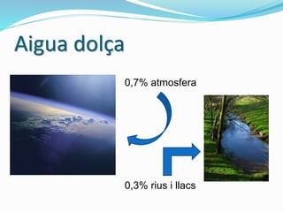 Aigua dolça
0,7% atmosfera
0,3% rius i llacs
 