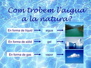 Com trobem l’aigua a la natura? En forma de líquid En forma de gas En forma de sòlid aigua gel vapor 
