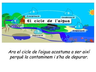 Ara el cicle de l’aigua acostuma a ser així
 perquè la contaminem i s’ha de depurar.
 