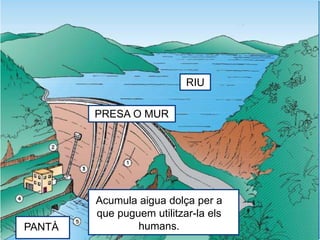 PRESA O MUR
PANTÀ
RIU
Acumula aigua dolça per a
que puguem utilitzar-la els
humans.
 