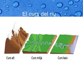 El curs del riu
 