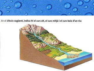 L'aigua a la terra