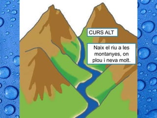 CURS ALT
Naix el riu a les
montanyes, on
plou i neva molt.
 