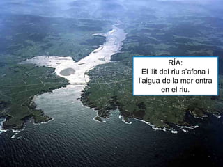 RÍA:
El llit del riu s’afona i
l’aigua de la mar entra
en el riu.
 