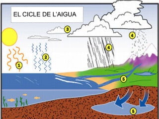 EL CICLE DE ’Aұ
 