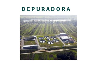 DEPURADORA 