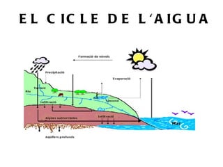 EL CICLE DE L'AIGUA 