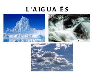 L'AIGUA ÉS 