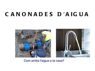 CANONADES D'AIGUA Com arriba l'aigua a ta casa? 