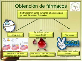 Obtención de fármacos 
Se transfieren genes humanos a bacterias para 
producir fármacos. Entre ellos 
Insulina 
Necesaria para las 
personas con diabetes. 
Proteínas para 
coagulación 
sanguínea 
Necesaria para personas 
con hemofilia. 
Vacunas 
Necesaria para luchar 
contra 
microorganismos 
 