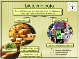 biotecnología 
Es la utilización de seres vivos o parte de ellos para 
obtener productos de interés. Puede ser 
TRADICIONAL 
Selección 
ganado 
Uso bacterias para 
fabricar queso 
Levaduras para 
fabricar cerveza y pan. 
MODERNA 
Conlleva manipulación ADN 
• Detectar enfermedades 
• Obtener productos 
• Mejorar especies 
 