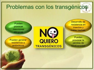Problemas con los transgénicos 
Pueden 
provocar la 
pérdida de 
biodiversidad 
Pueden 
provocar 
reacciones 
alérgicas 
Pueden generar 
resistencia a 
antibióticos 
Desarrollo de 
resistencia en 
insectos y 
malas hierbas. 
 