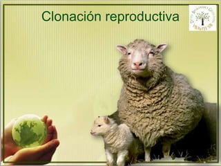 Clonación reproductiva 
 