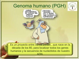 Genoma humano (PGH) 
Es un proyecto entre varios países , que nace en la 
década de los 80, para localizar todos los genes 
humanos y la secuencia de nucleótidos de nuestro 
ADN. 
 