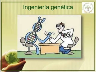 Ingeniería genética 
 