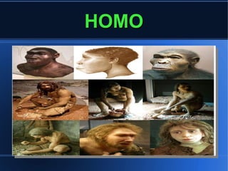 HOMOHOMO
 