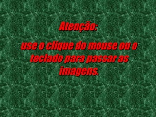 Atenção:  use o clique do mouse ou o teclado para passar as imagens. 