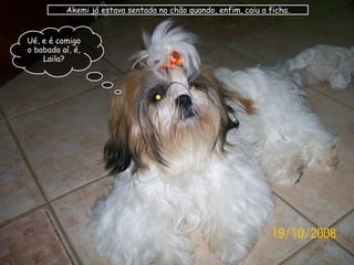 Akemi já estava sentada no chão quando, enfim, caiu a ficha. Ué, e é comigo o babado aí, é, Laila? 