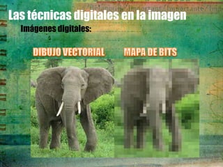 Las técnicas digitales en la imagen
  Imágenes digitales:
 