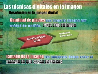 Las técnicas digitales en la imagen
  Resolución en la imagen digital
 