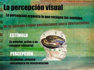La percepción visual


  ESTÍMULO
 Es exterior, activa a un
 receptor sensorial

  PERCEPCIÓN
  Es interior, proceso
  psicológico de interpretación
 