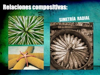 Relaciones compositivas:
 